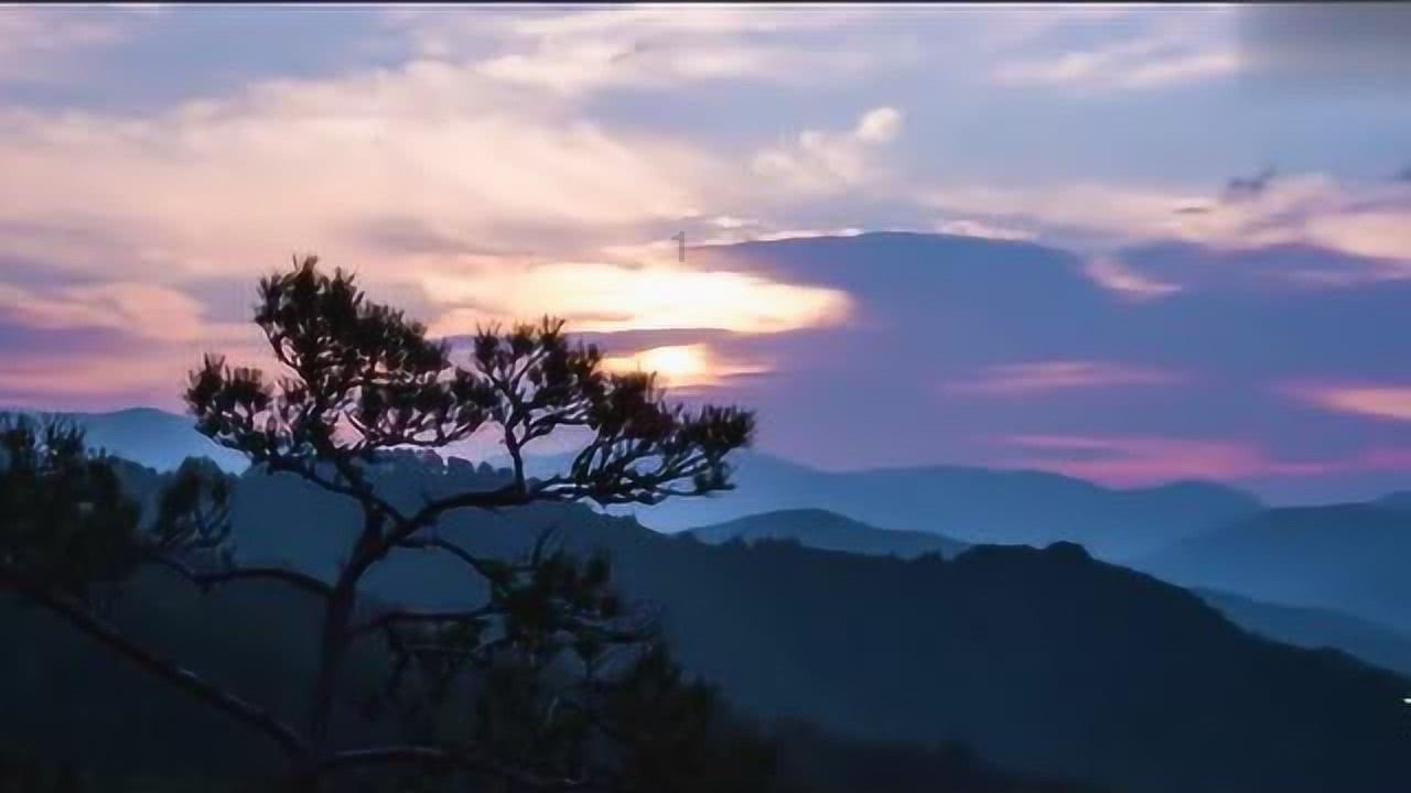 怎样能煎出又香又脆的生煎包-冷知识分享平台,让你开启别样视角