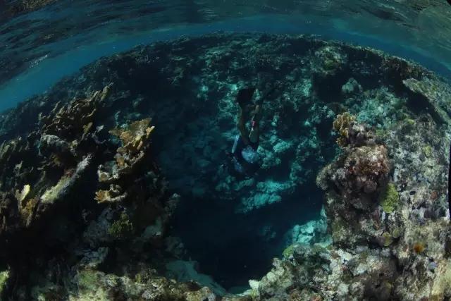 海绵宝宝寻珍宝