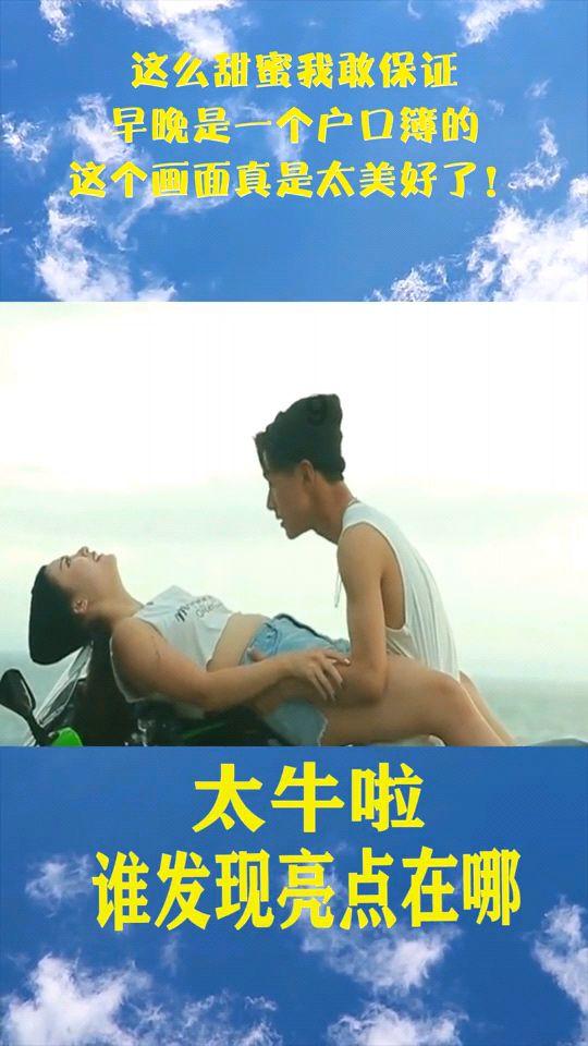 小猫钓鱼正版下载中文版